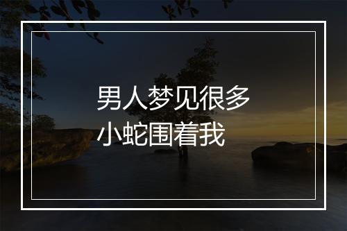 男人梦见很多小蛇围着我