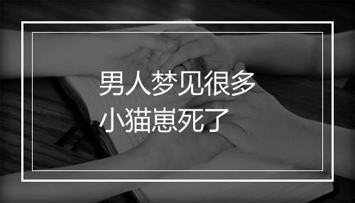 男人梦见很多小猫崽死了