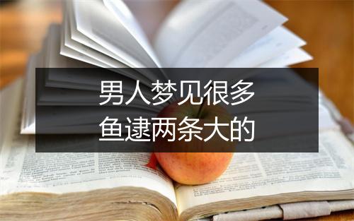 男人梦见很多鱼逮两条大的