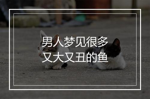 男人梦见很多又大又丑的鱼