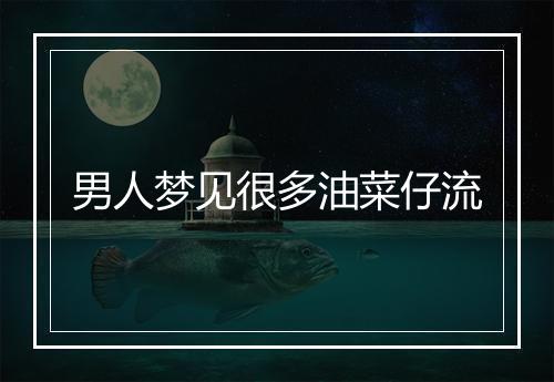 男人梦见很多油菜仔流