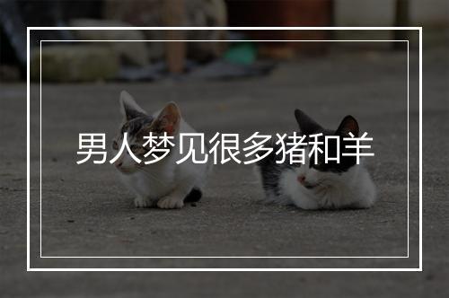 男人梦见很多猪和羊