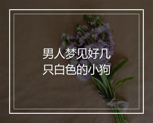 男人梦见好几只白色的小狗