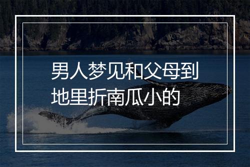 男人梦见和父母到地里折南瓜小的