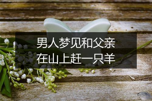 男人梦见和父亲在山上赶一只羊