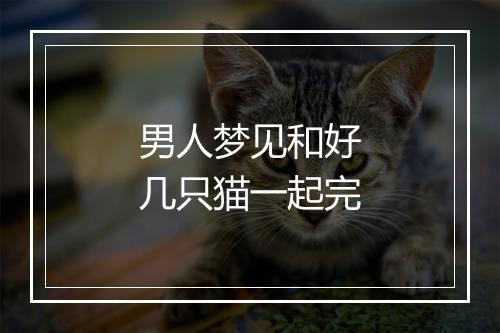 男人梦见和好几只猫一起完