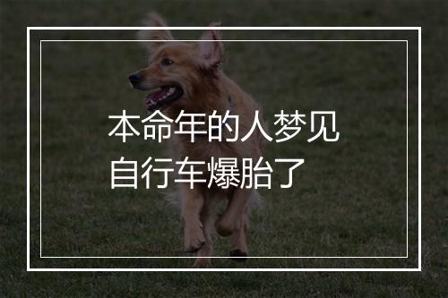 本命年的人梦见自行车爆胎了