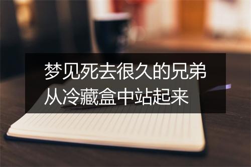 梦见死去很久的兄弟从冷藏盒中站起来