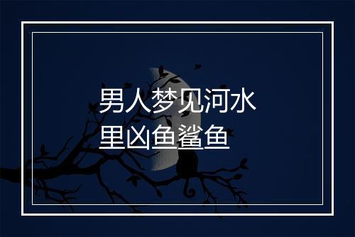 男人梦见河水里凶鱼鲨鱼