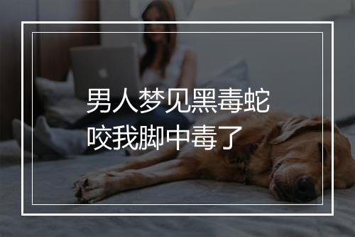 男人梦见黑毒蛇咬我脚中毒了