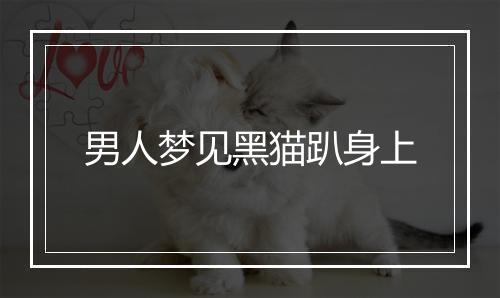 男人梦见黑猫趴身上