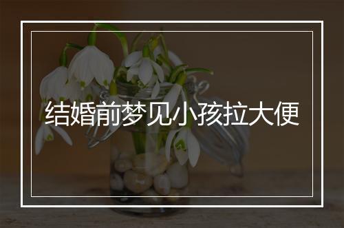 结婚前梦见小孩拉大便