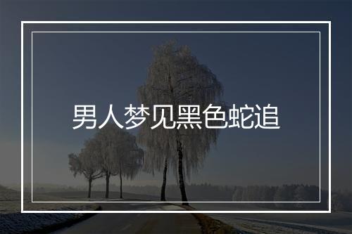 男人梦见黑色蛇追