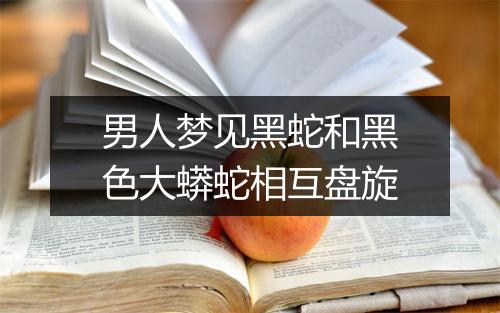 男人梦见黑蛇和黑色大蟒蛇相互盘旋