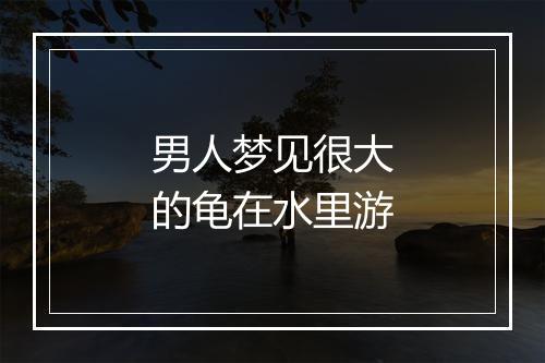 男人梦见很大的龟在水里游