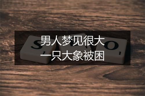 男人梦见很大一只大象被困