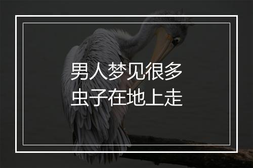 男人梦见很多虫子在地上走