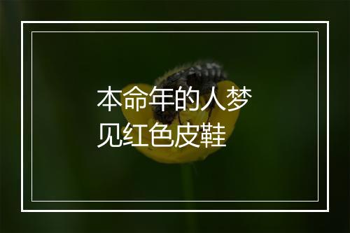 本命年的人梦见红色皮鞋