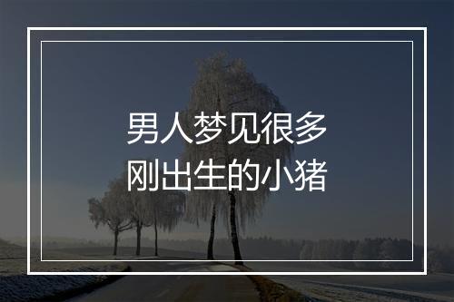 男人梦见很多刚出生的小猪