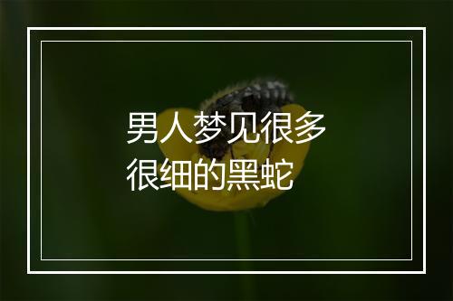 男人梦见很多很细的黑蛇