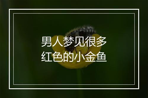 男人梦见很多红色的小金鱼