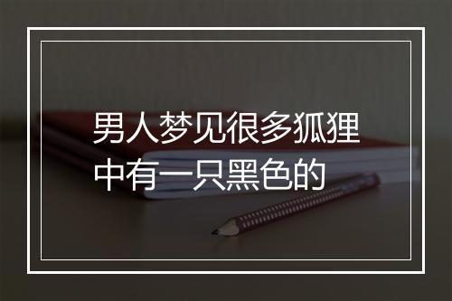 男人梦见很多狐狸中有一只黑色的