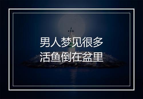 男人梦见很多活鱼倒在盆里