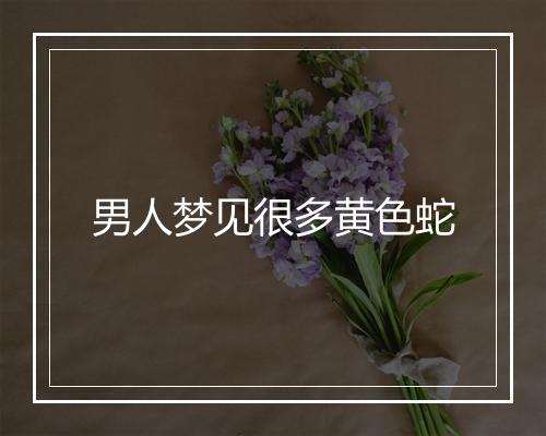 男人梦见很多黄色蛇