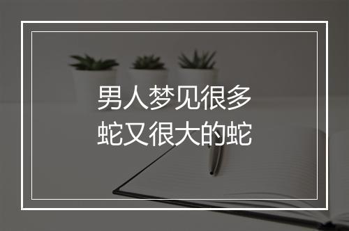 男人梦见很多蛇又很大的蛇