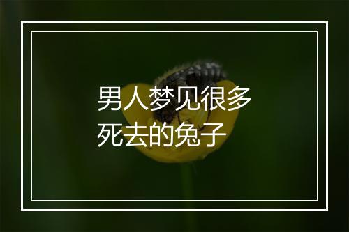 男人梦见很多死去的兔子