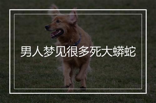 男人梦见很多死大蟒蛇