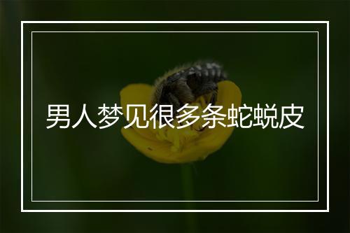 男人梦见很多条蛇蜕皮