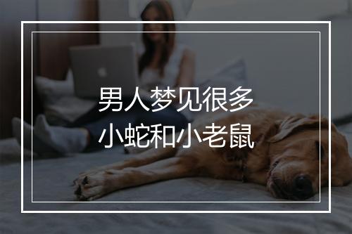 男人梦见很多小蛇和小老鼠