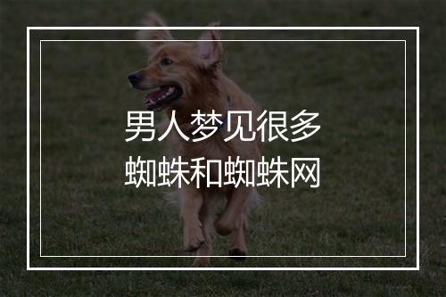 男人梦见很多蜘蛛和蜘蛛网