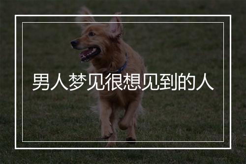 男人梦见很想见到的人