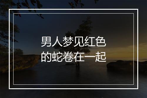 男人梦见红色的蛇卷在一起