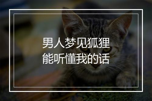 男人梦见狐狸能听懂我的话