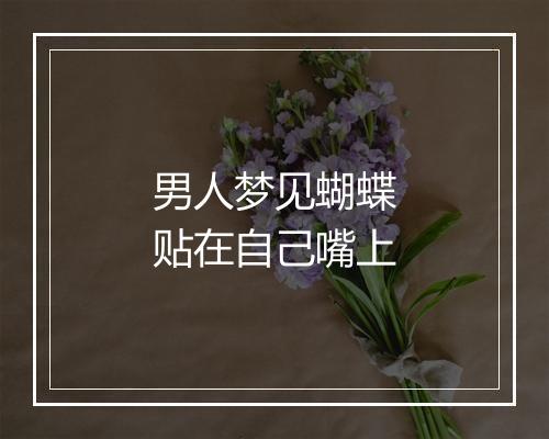 男人梦见蝴蝶贴在自己嘴上