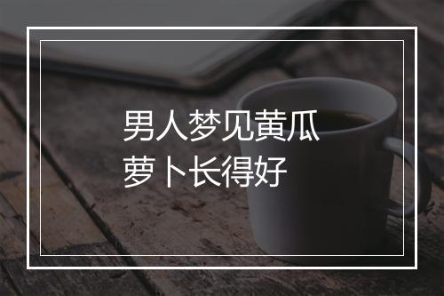 男人梦见黄瓜萝卜长得好