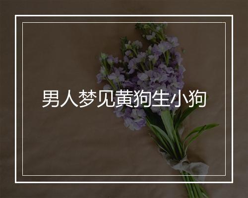 男人梦见黄狗生小狗