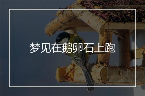 梦见在鹅卵石上跑