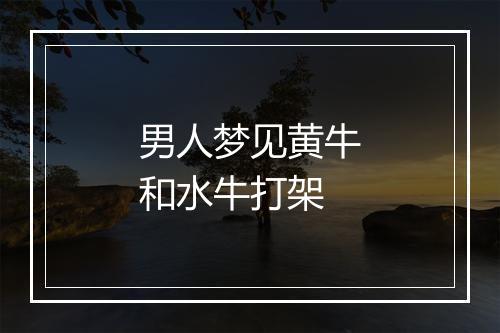 男人梦见黄牛和水牛打架