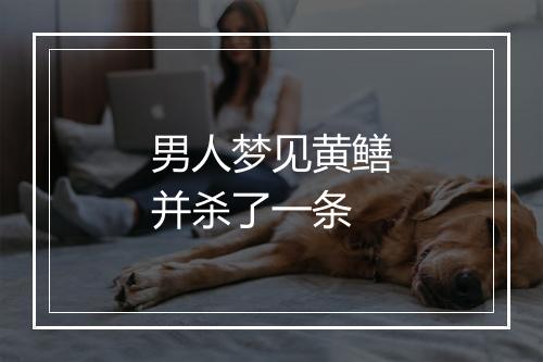 男人梦见黄鳝并杀了一条