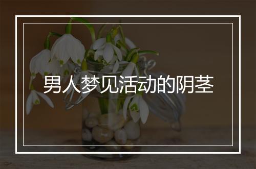 男人梦见活动的阴茎