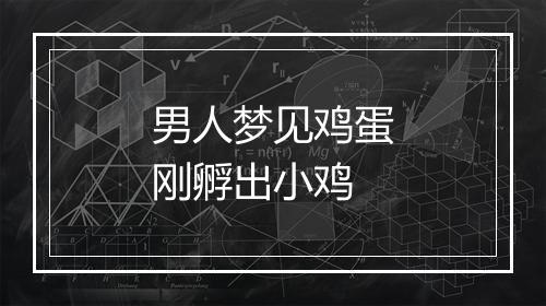 男人梦见鸡蛋刚孵出小鸡