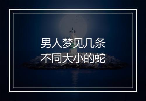 男人梦见几条不同大小的蛇