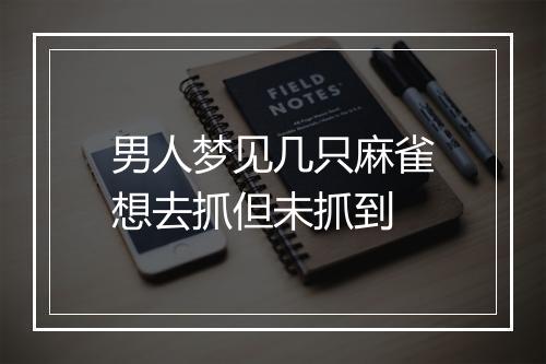 男人梦见几只麻雀想去抓但未抓到