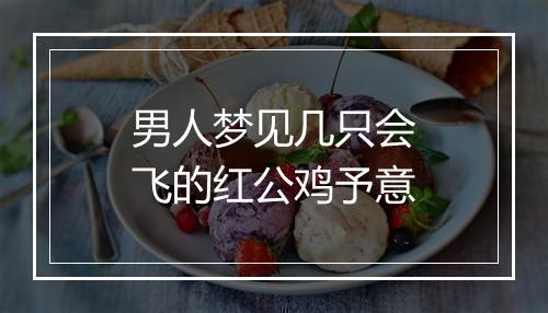 男人梦见几只会飞的红公鸡予意