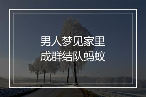 男人梦见家里成群结队蚂蚁