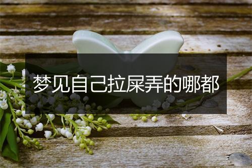 梦见自己拉屎弄的哪都